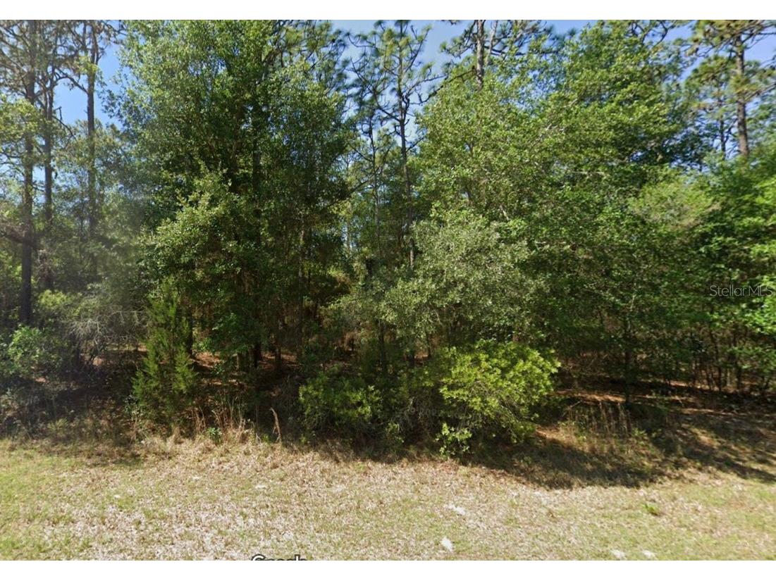 Lot 3 SW 102nd Street Road Dunnellon FL 34431 OM700174 image1