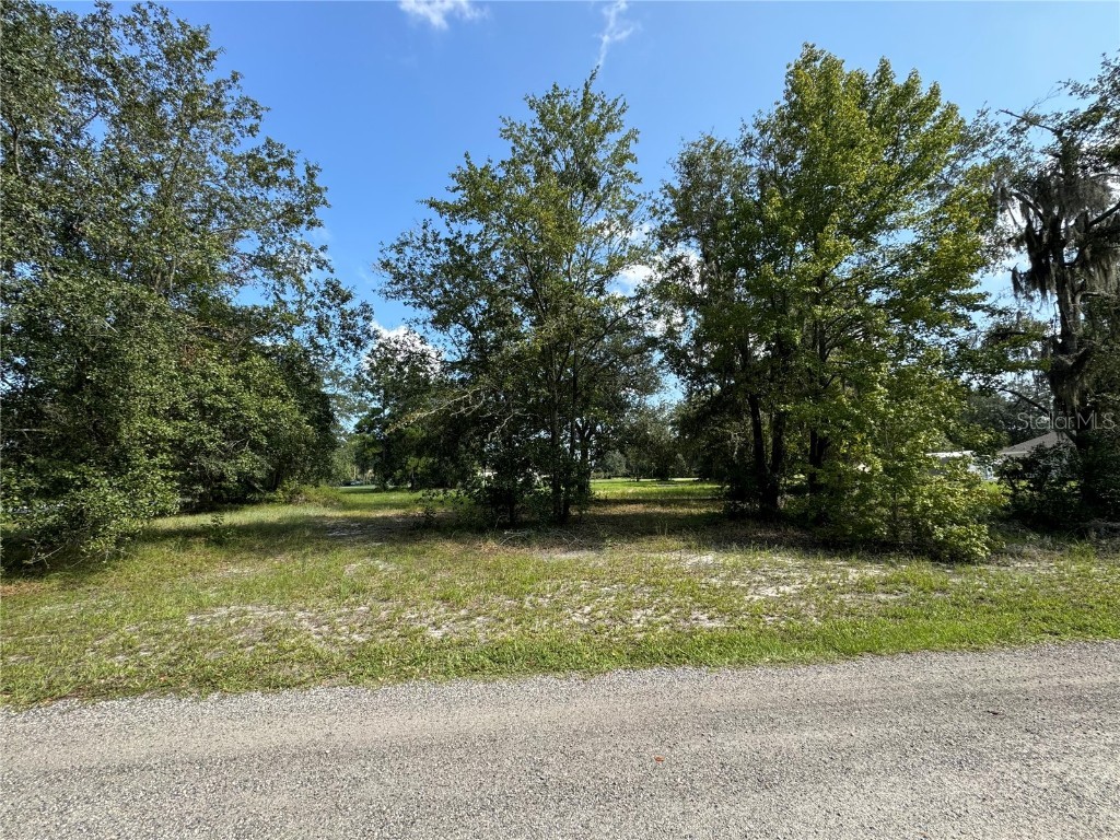 Lot 3 SW 125th Loop Worthington Springs FL 32697 GC524459 image1