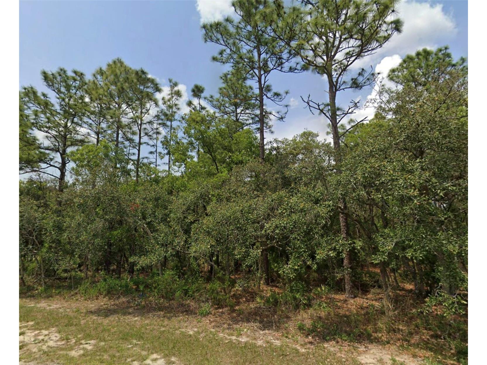 Lot 3 SW 144th Lane Ocala FL 34473 OM711648 image1