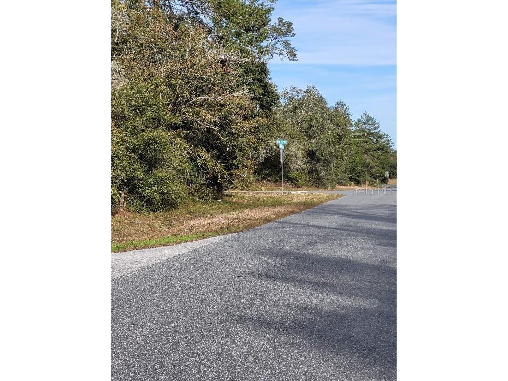 Lot 3 SW 145 Pl. Rd. Ocala FL 34473 OM670444 image1