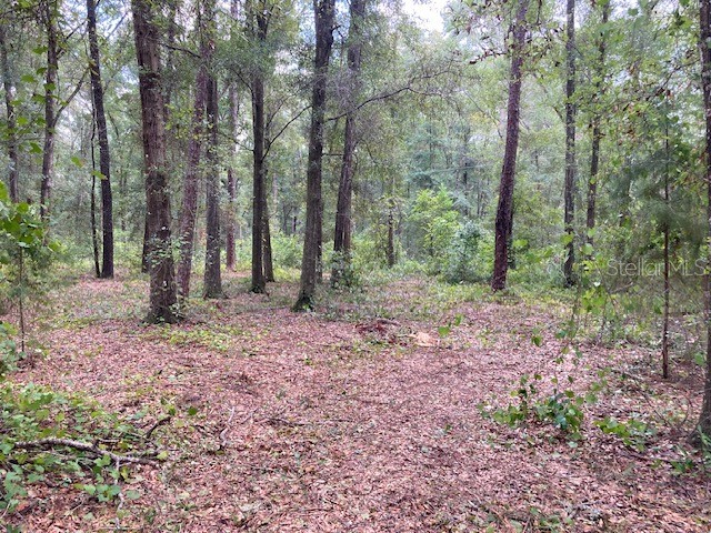 Lot 3 SW 170th Street Archer FL 32618 GC524584 image12