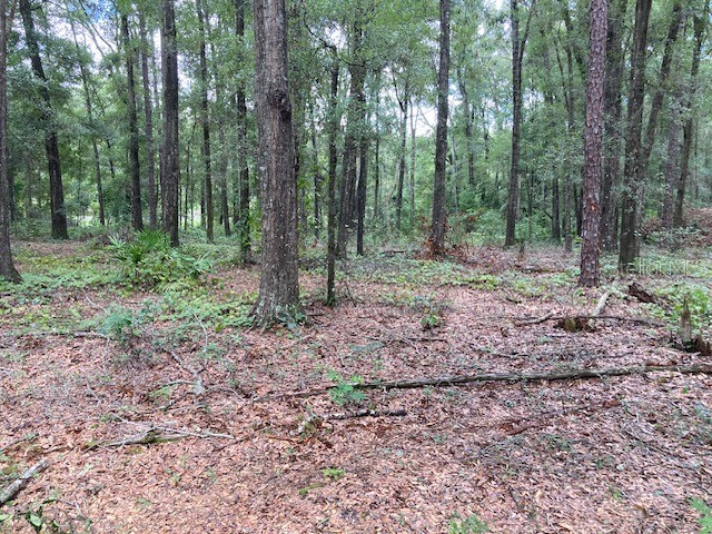 Lot 3 SW 170th Street Archer FL 32618 GC524584 image13