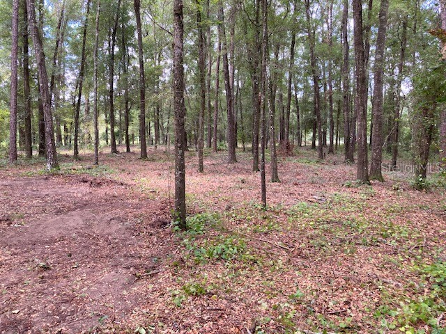 Lot 3 SW 170th Street Archer FL 32618 GC524584 image6