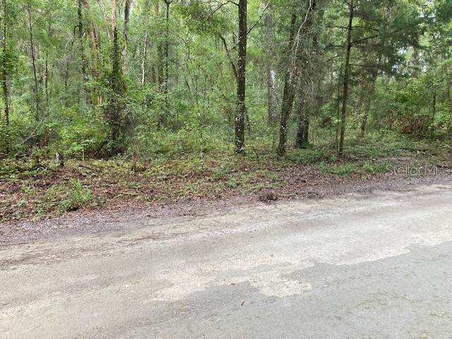 Lot 3 SW 170th Street Archer FL 32618 GC524584 image8