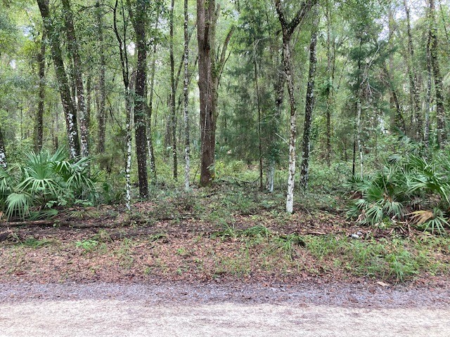 Lot 3 SW 170th Street Archer FL 32618 GC524584 image9