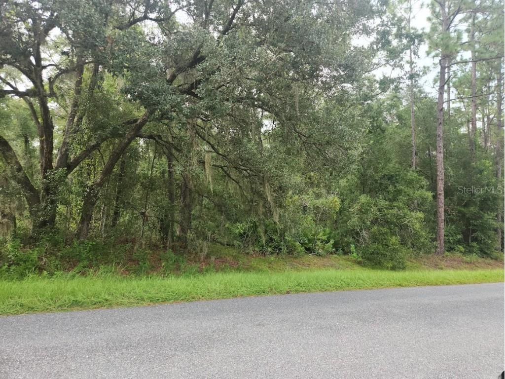 Lot 3 SW 61 St Place Road Ocala FL 34481 OM709462 image1