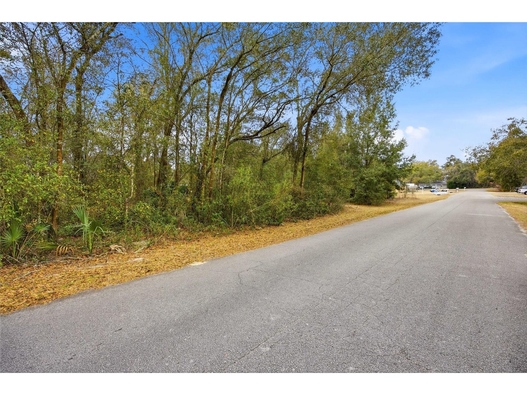 Lot 3 SW 95th Place Ocala FL 34476 OM718548 image1