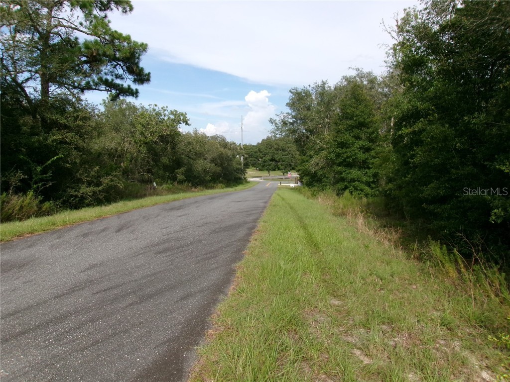Lot 3 SW Nectarine Lane Dunnellon FL 34431 OM706823 image1