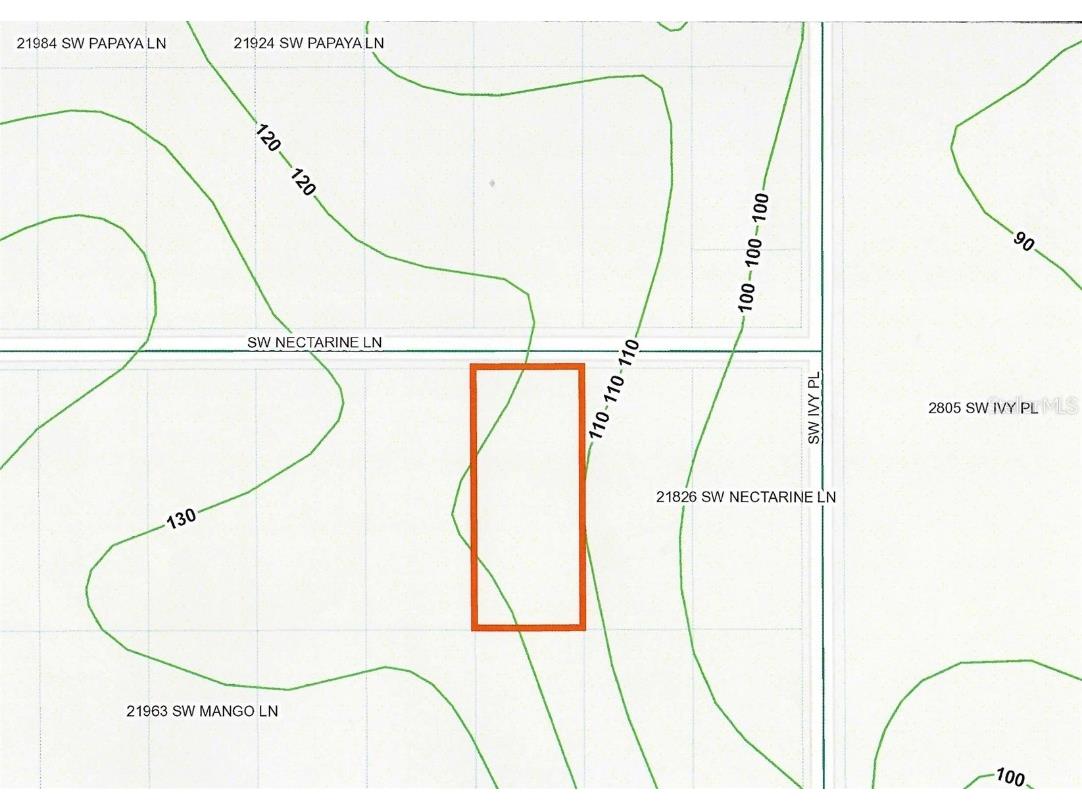 Lot 3 SW Nectarine Lane Dunnellon FL 34431 OM706823 image3