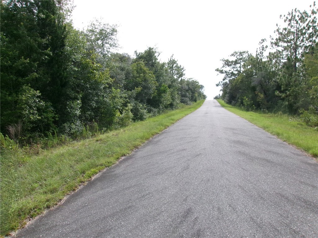 Lot 3 SW Nectarine Lane Dunnellon FL 34431 OM706823 image4