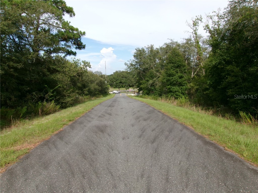 Lot 3 SW Nectarine Lane Dunnellon FL 34431 OM706823 image5