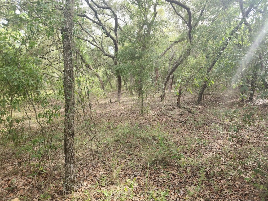 Lot 3 SW Nectarine Lane Dunnellon FL 34431 OM706823 image7