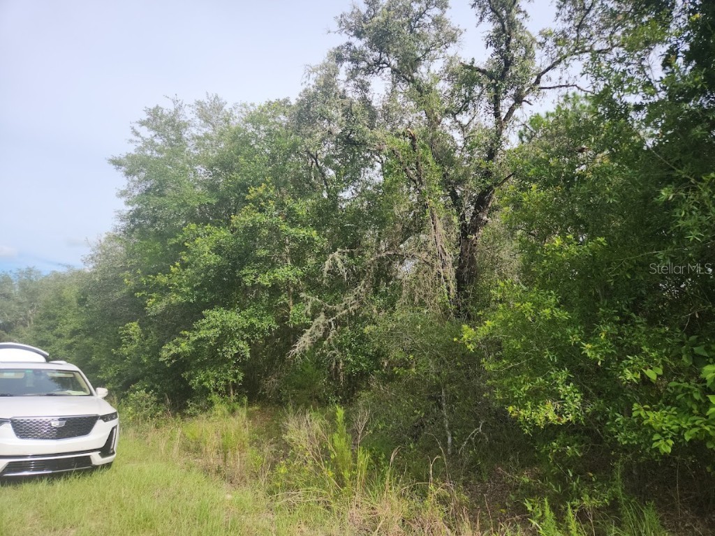 Lot 3 SW Nectarine Lane Dunnellon FL 34431 OM706823 image8