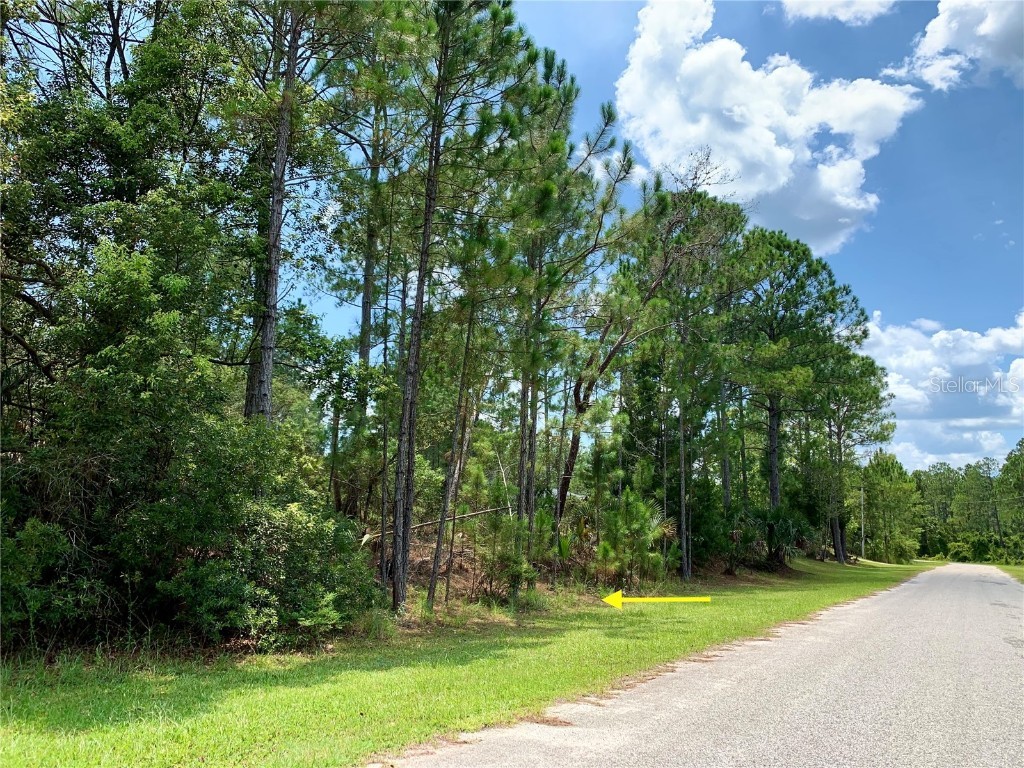 Lot 3 Tulip Avenue Eustis FL 32736 - LAKE NORRIS G5071399 image1
