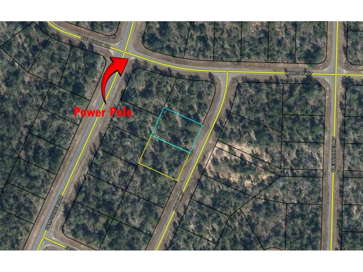 Lot 3 Unit 11 Blk 752 Kapok Avenue Chipley FL 32428 OM715217 image4