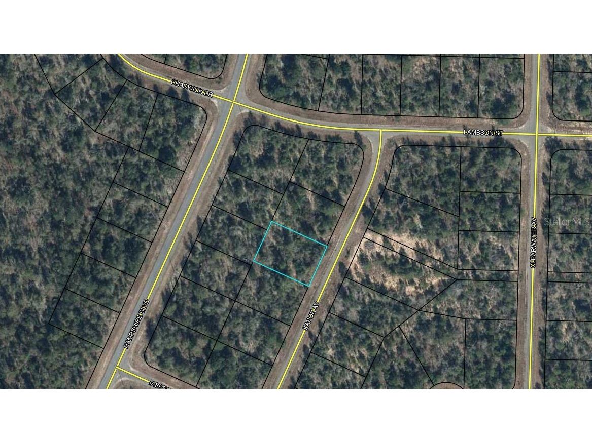 Lot 3 Unit 11 Blk 752 Kapok Avenue Chipley FL 32428 OM715217 image5