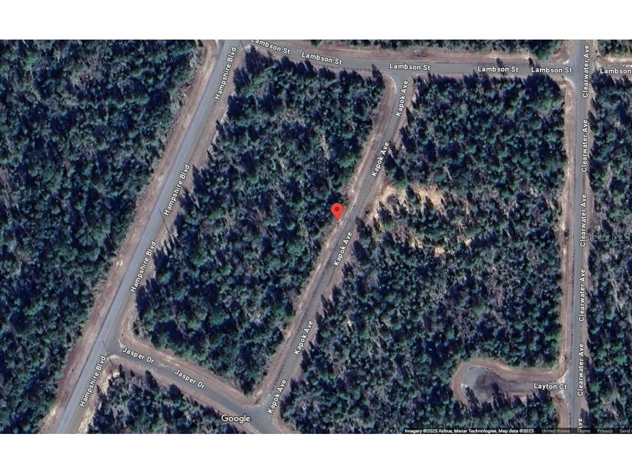 Lot 3 Unit 11 Blk 752 Kapok Avenue Chipley FL 32428 OM715217 image8