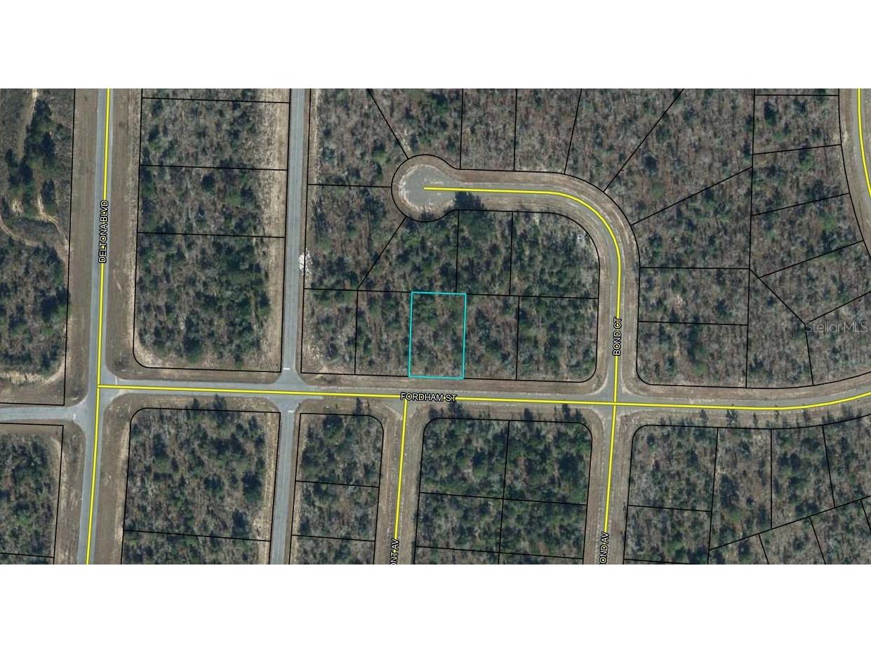 Lot 3 Unit 9 Blk 557 Fordham Street Chipley FL 32428 OM715219 image7
