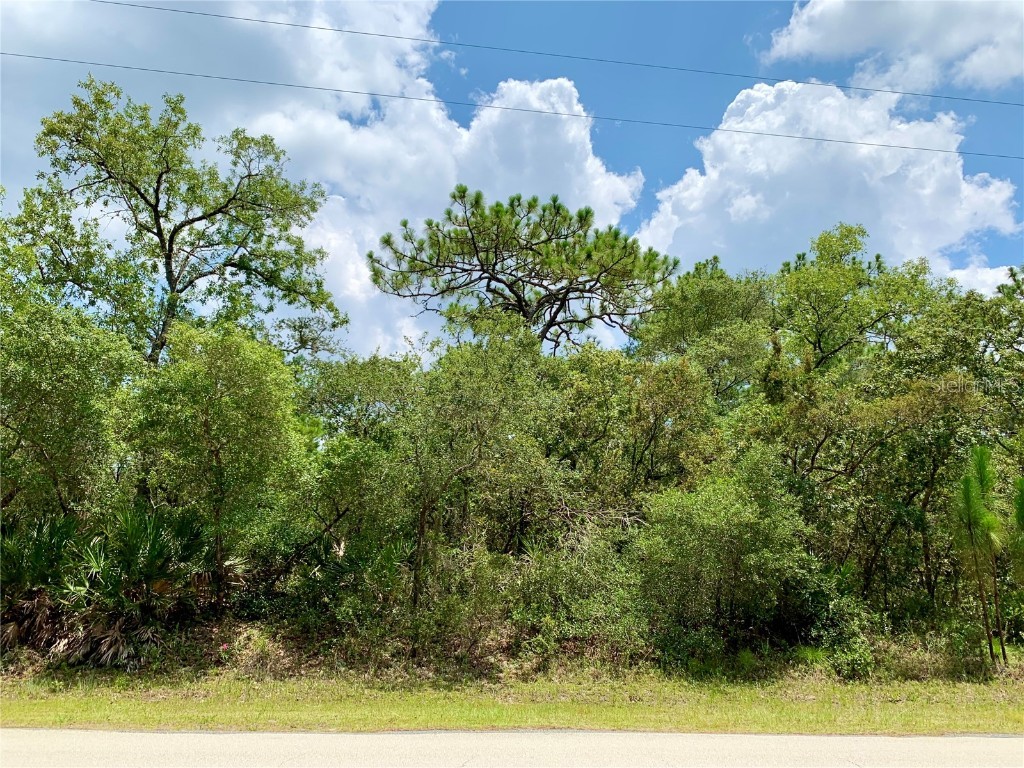 Lot 3 W Thyme Avenue Eustis FL 32736 - LAKE NORRIS G5070613 image1