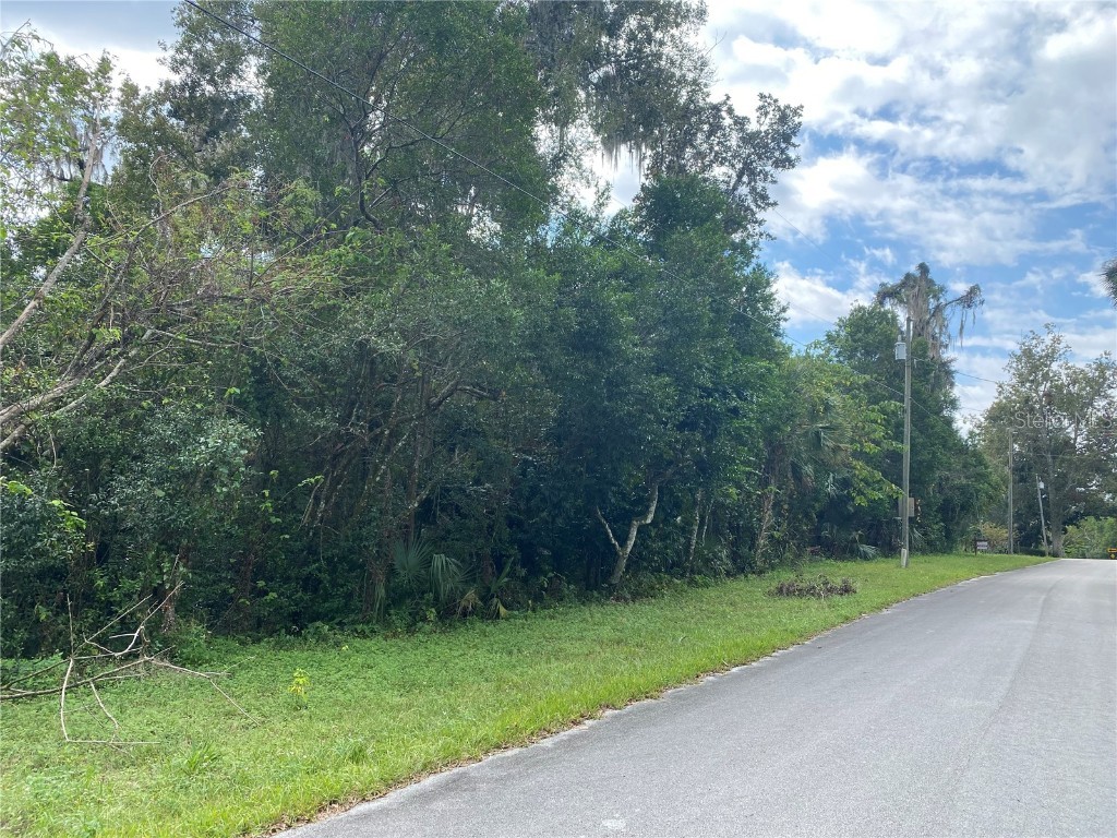 Lot 3 of 5 Cordova Avenue De Leon Springs FL 32130 V4927375 image1