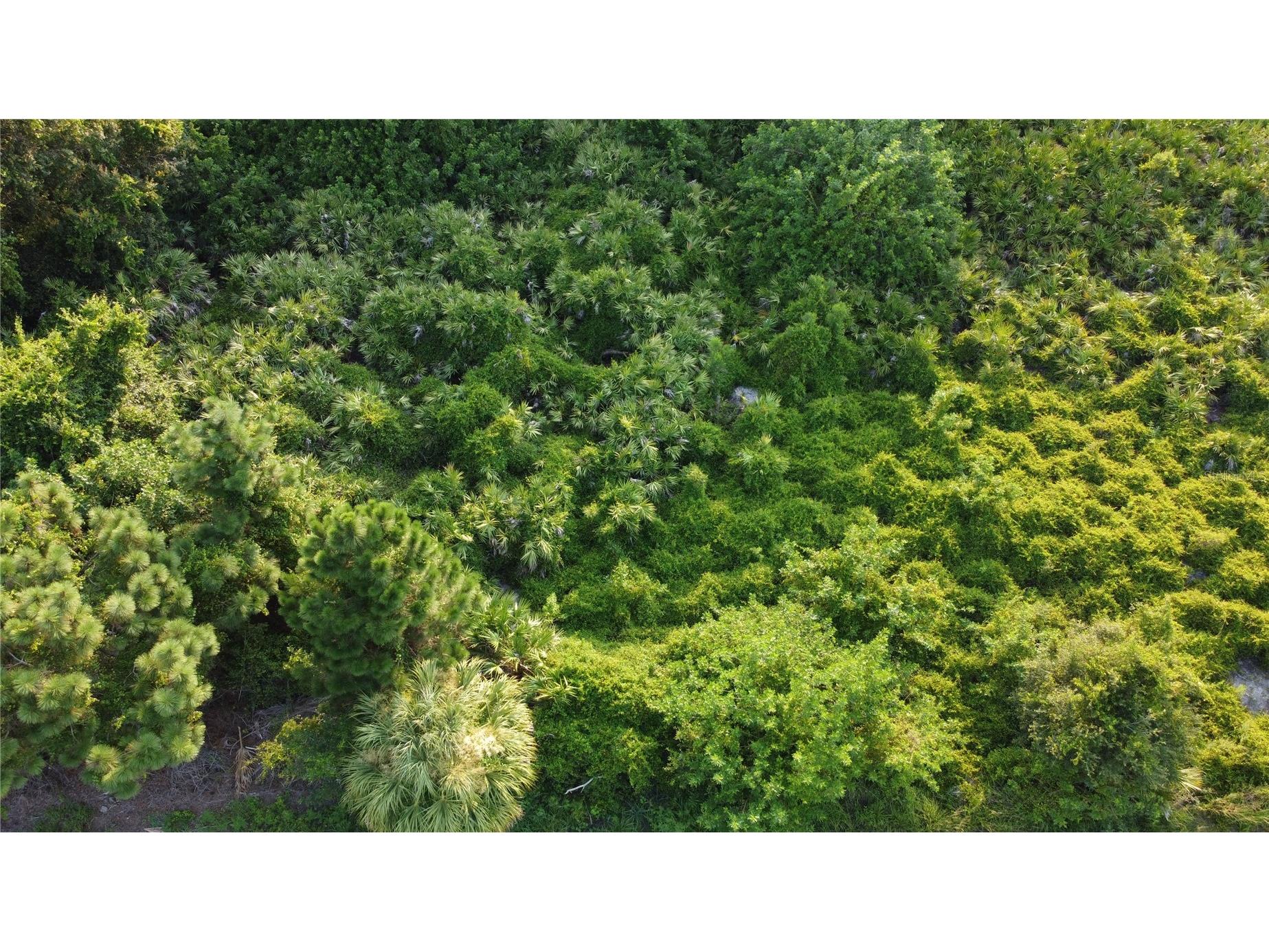 Lot 30 Clovelon Street North Port FL 34291 A4603044 image8