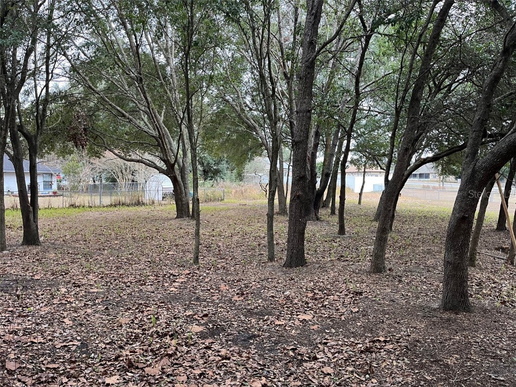 Lot 30 Hemlock Radial Court Ocala FL 34472 OM691271 image1