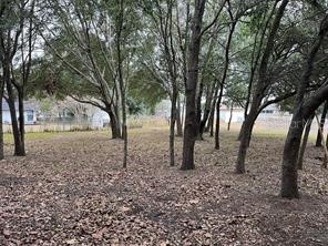 Lot 30 Hemlock Radial Court Ocala FL 34472 OM709939 image1