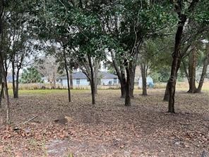 Lot 30 Hemlock Radial Court Ocala FL 34472 OM709939 image13