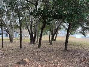 Lot 30 Hemlock Radial Court Ocala FL 34472 OM709939 image2