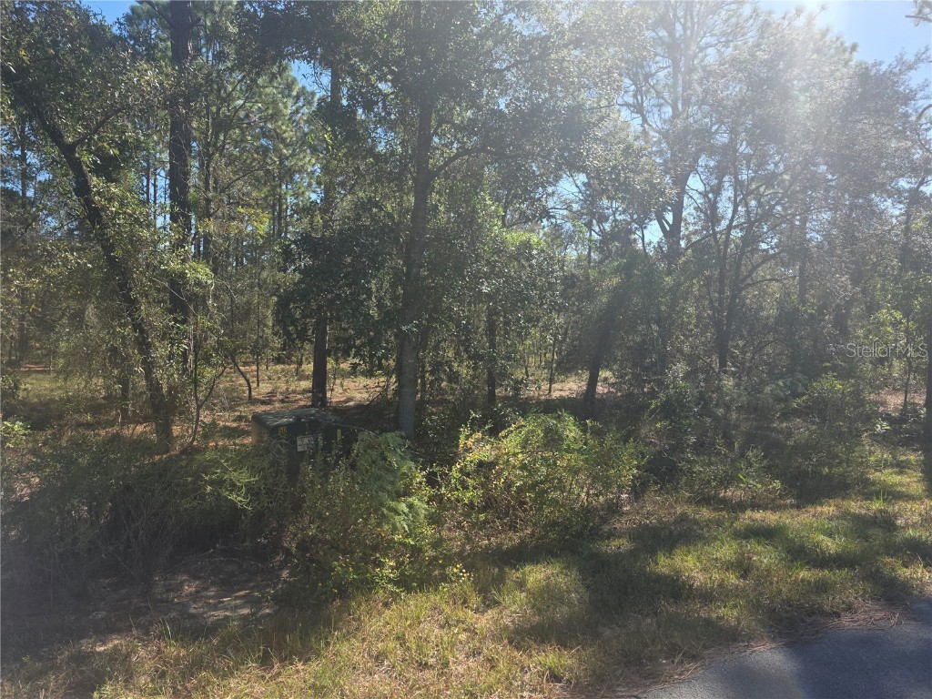 Lot 30 NW Holly Road Dunnellon FL 34431 OM711735 image1