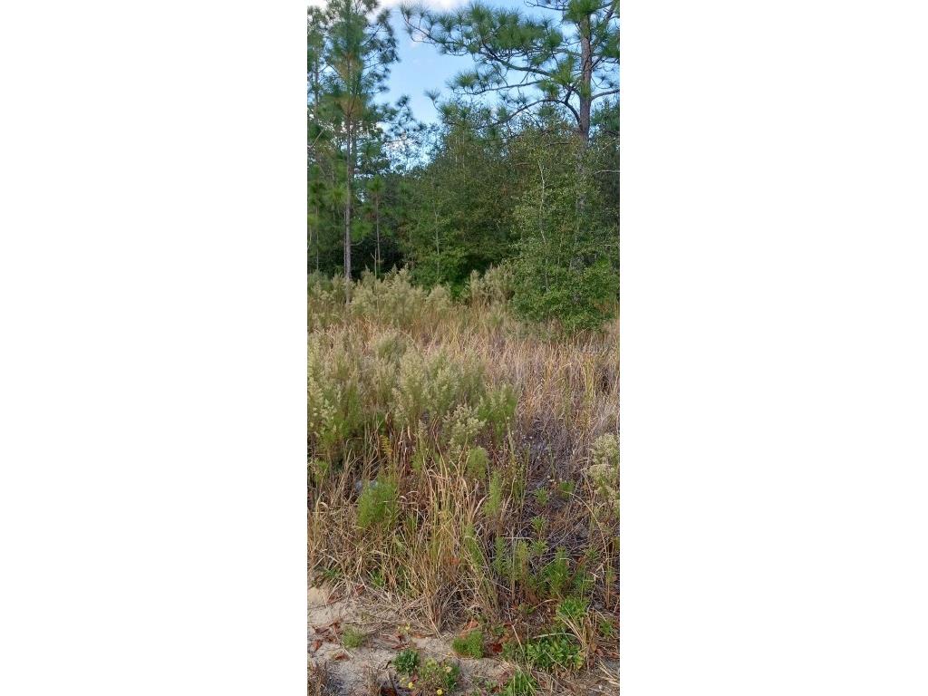 Lot 30 SW 26th Lane Ocala FL 34471 W7853019 image1