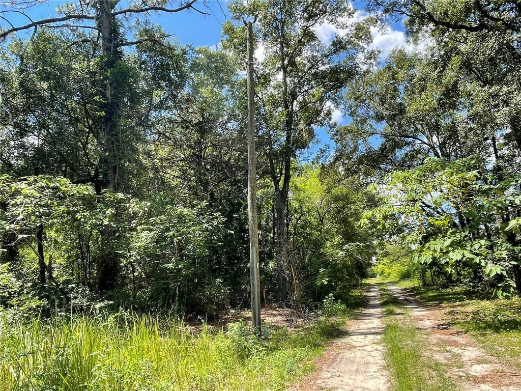 Lot 30 SW 31st Place Ocala FL 34481 OM707997 image2