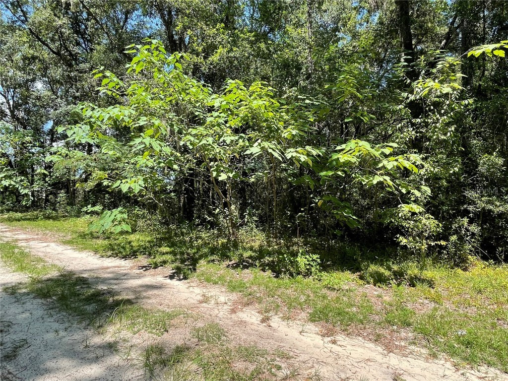 Lot 30 SW 31st Place Ocala FL 34481 OM707997 image3