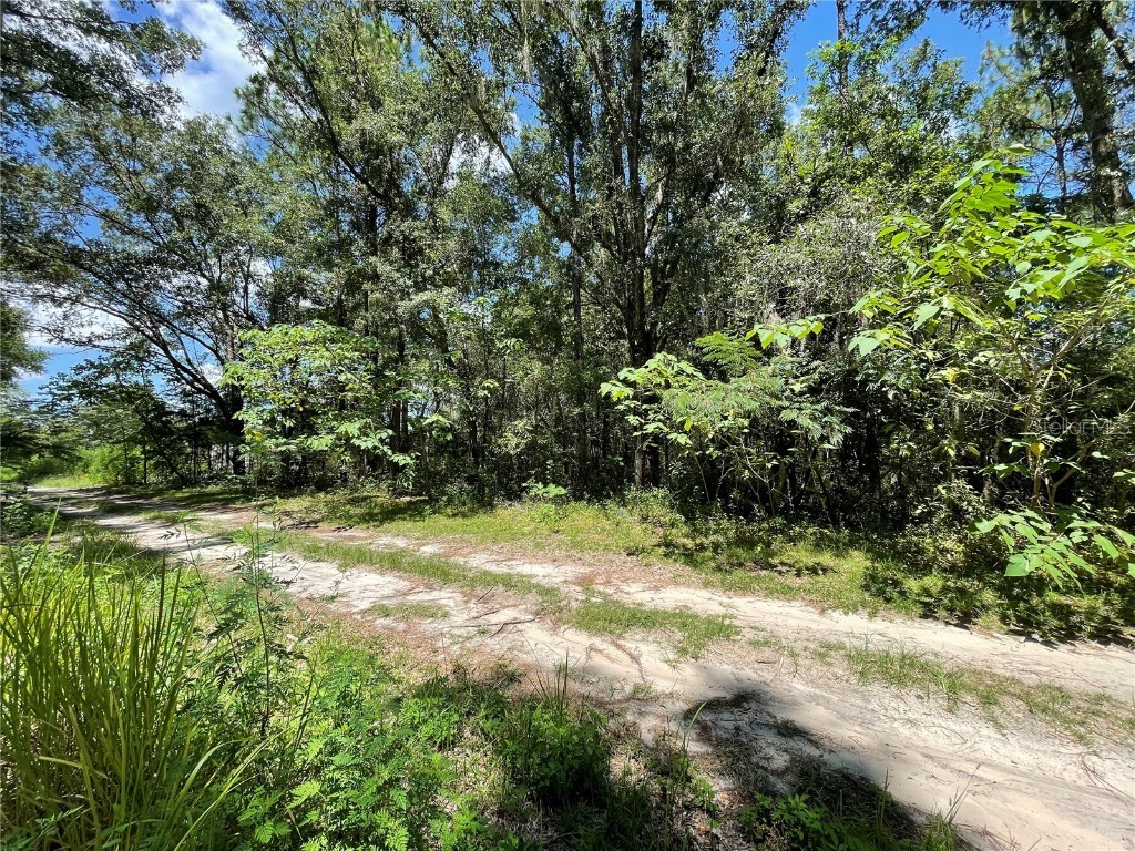 Lot 30 SW 31st Place Ocala FL 34481 OM707997 image4
