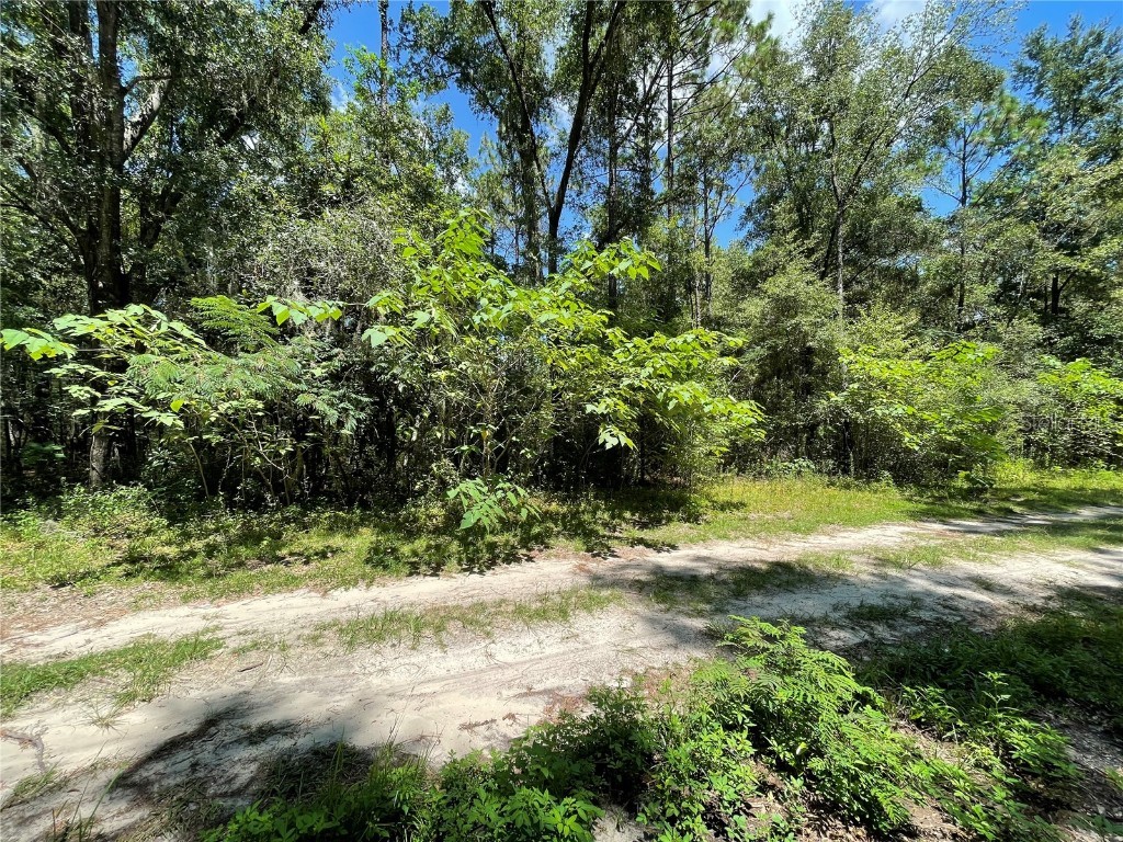 Lot 30 SW 31st Place Ocala FL 34481 OM707997 image5