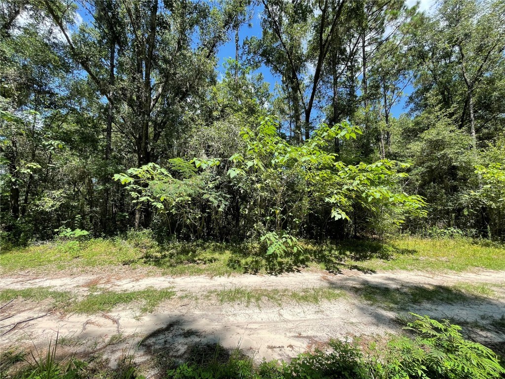 Lot 30 SW 31st Place Ocala FL 34481 OM707997 image6