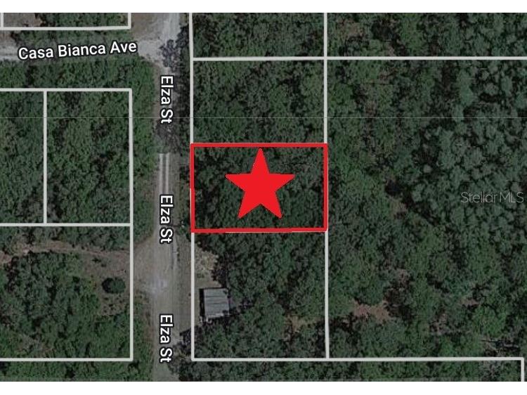 Lot 31-32 Elza St New Port Richey FL 34654 C7473528 image1