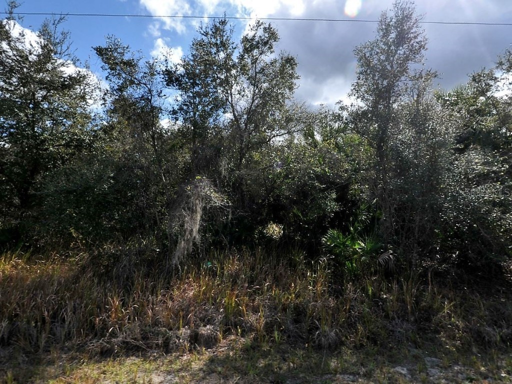 Lot 31 Casco Circle North Port FL 34288 C7512797 image2