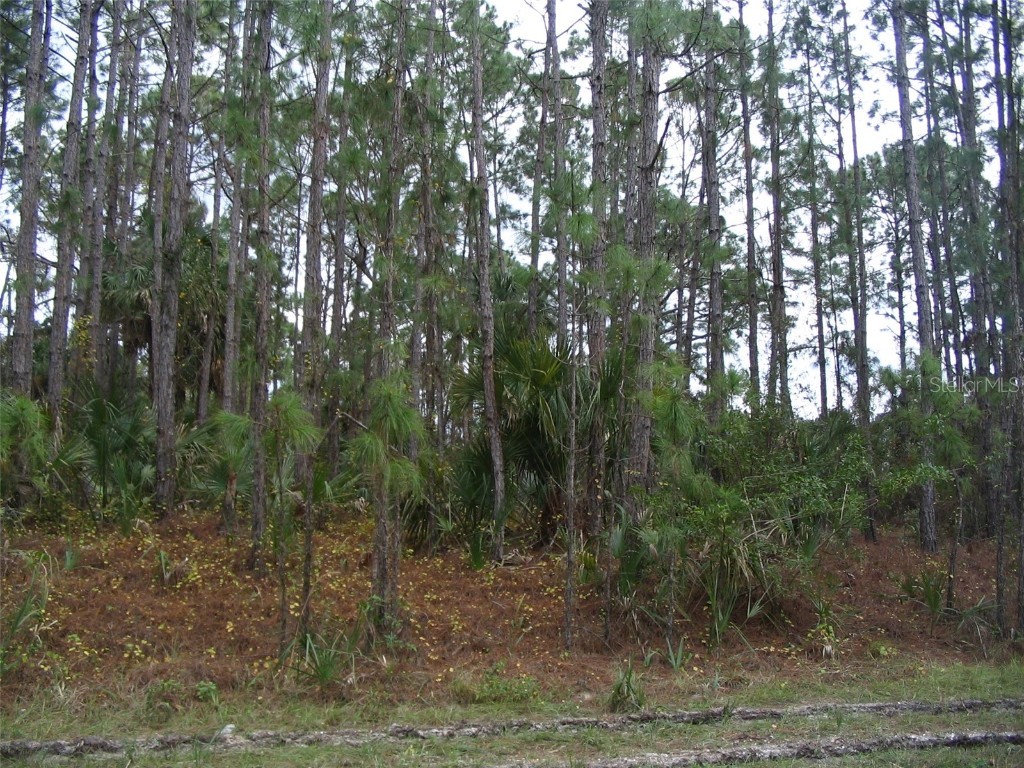 Lot 31 Duluth Terrace North Port FL 34286 N6126901 image1