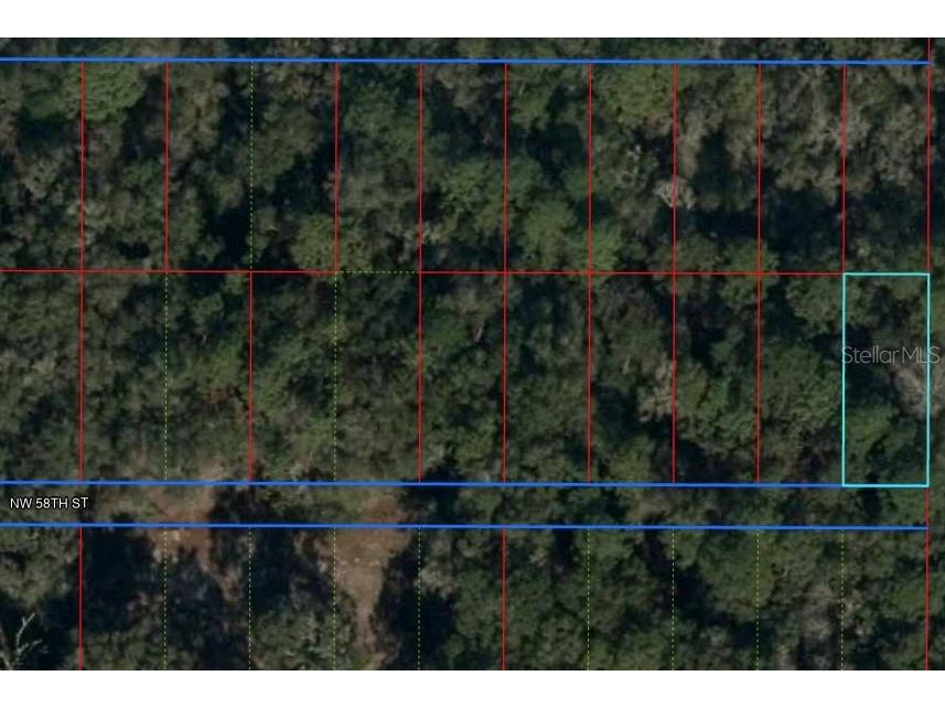 Lot 31 NW 58 Street Chiefland FL 32626 OM676057 image1