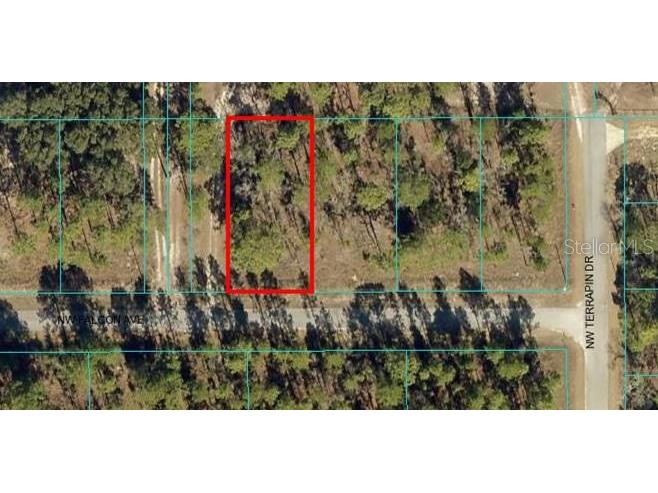 Lot 31 NW Falcon Avenue Dunnellon FL 34431 OM664496 image1