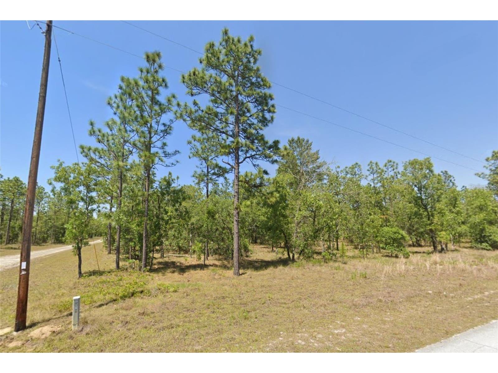 Lot 31 SE 133rd Dunnellon FL 34431 TB8489425 image1