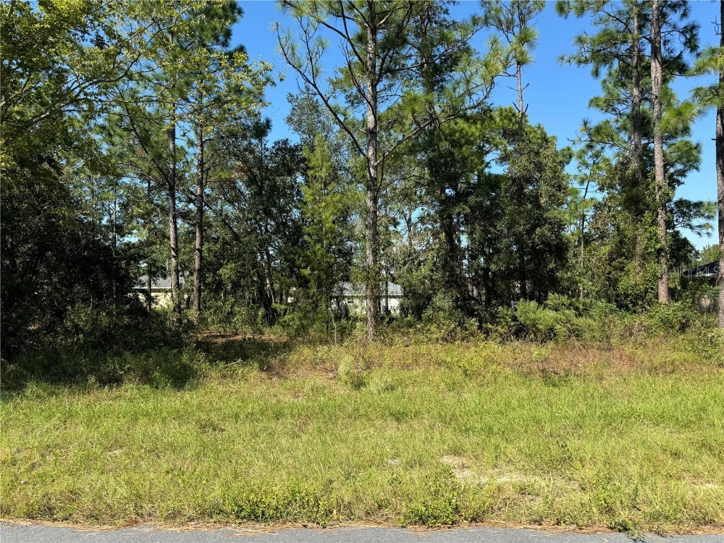 Lot 31 SW 133rd Street Road Ocala FL 34473 OM688622 image1