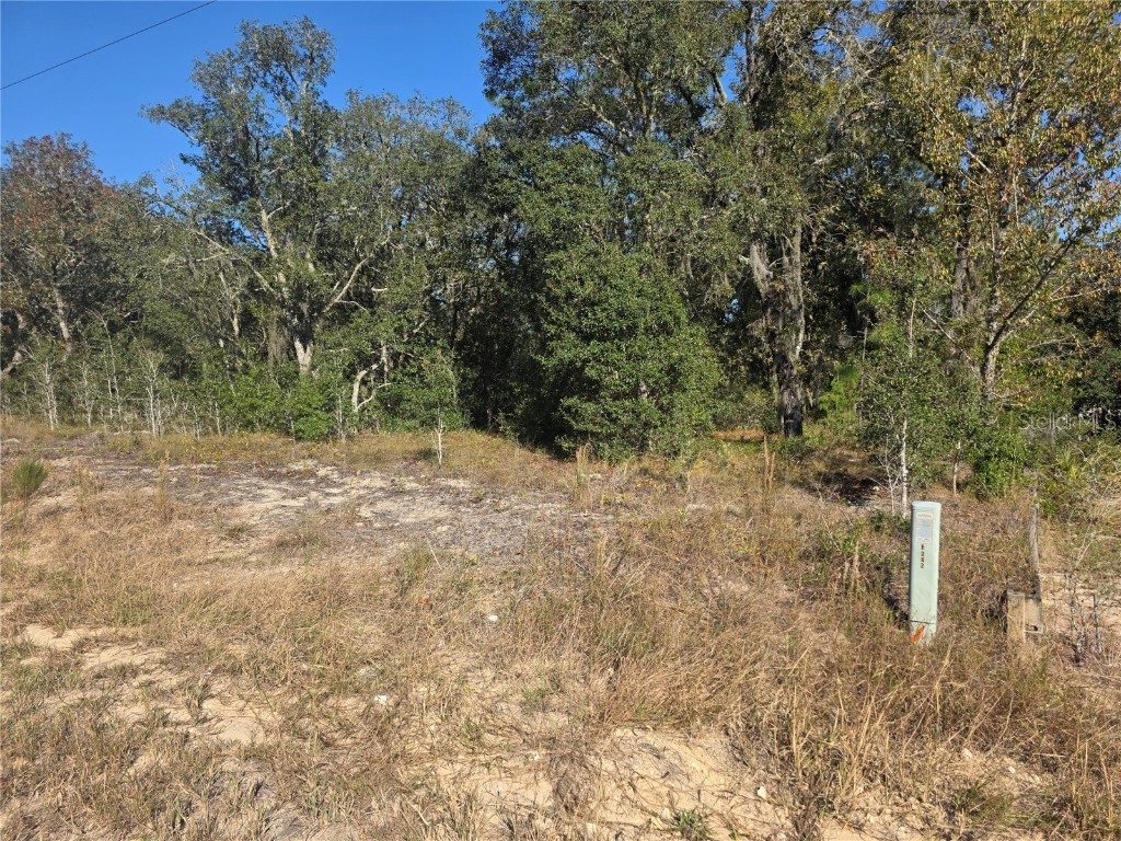Lot 31 SW Viburnum Road Dunnellon FL 34431 OM713272 image1