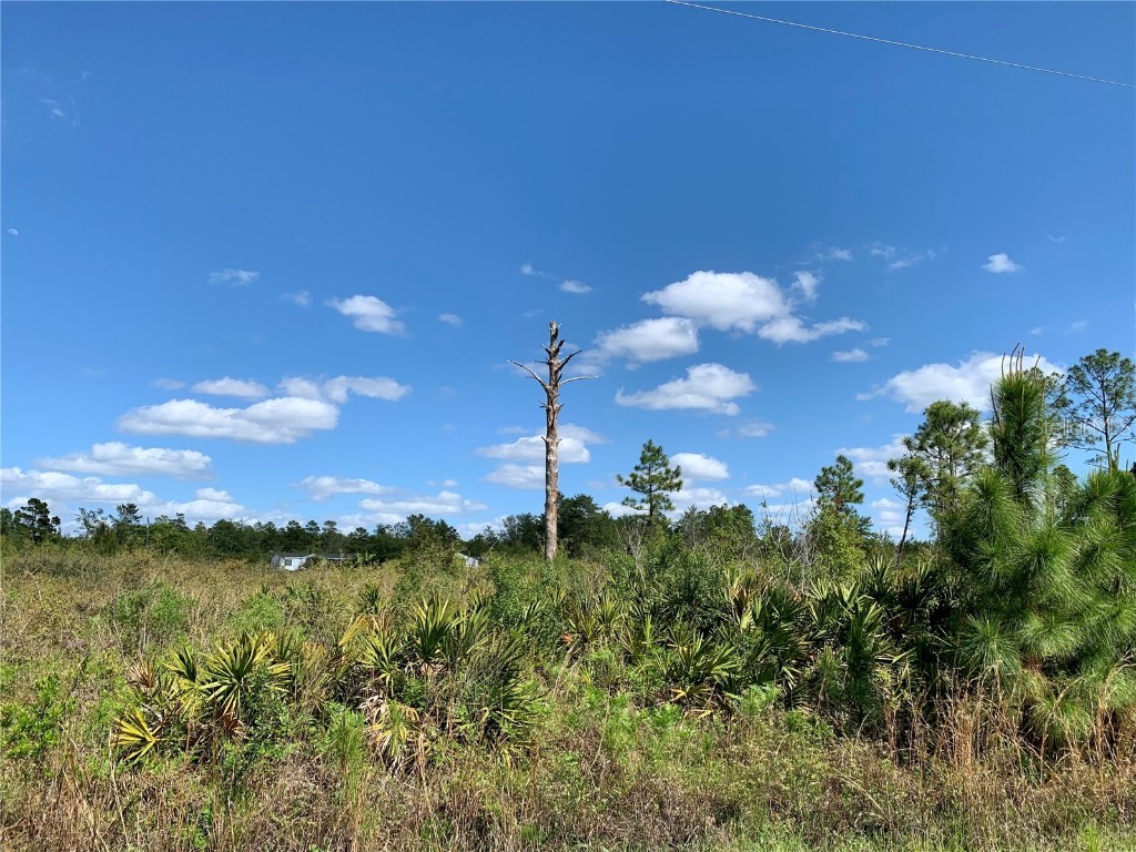 Lot 32 Apricot Avenue Eustis FL 32736 G5067016 image1