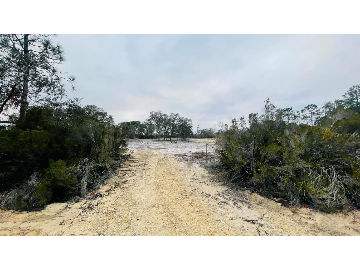 Lot 32 NE 100th Avenue Bronson FL 32621 GC518878 image1