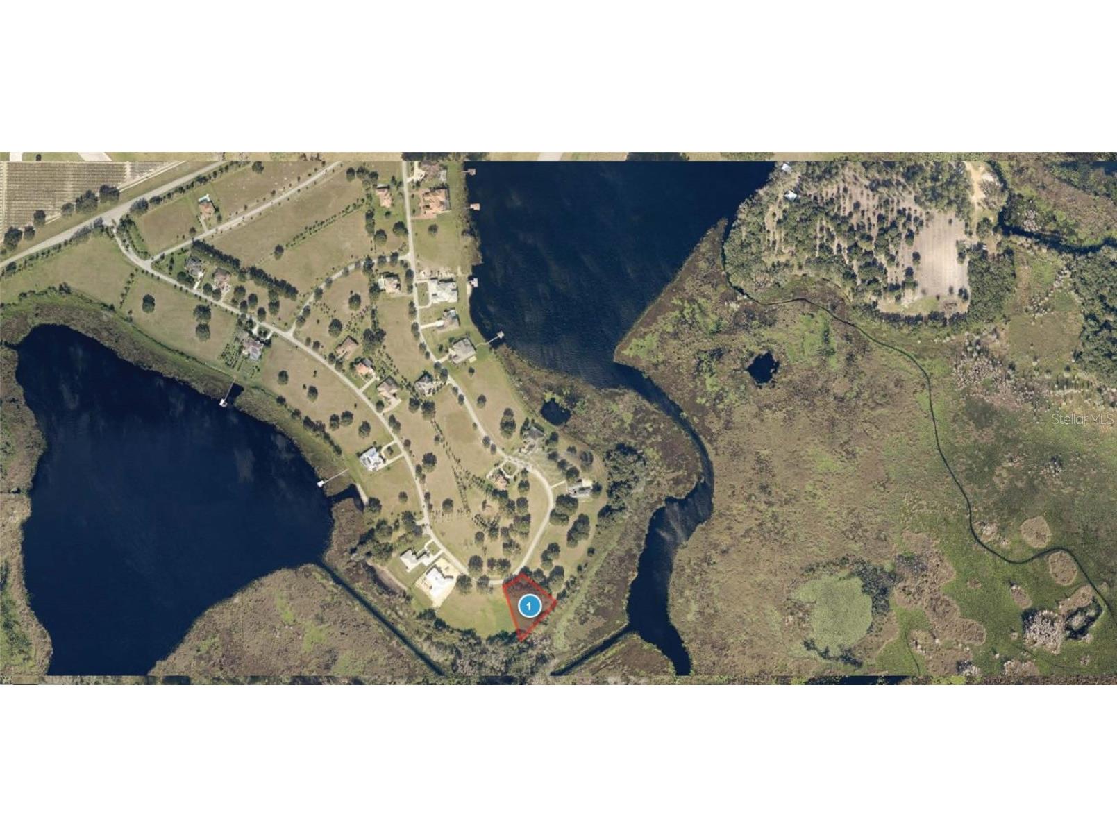 Lot 32 Royal Palm Drive Groveland FL 34736 - PALATLAKAHA RIVER T3475024 image1