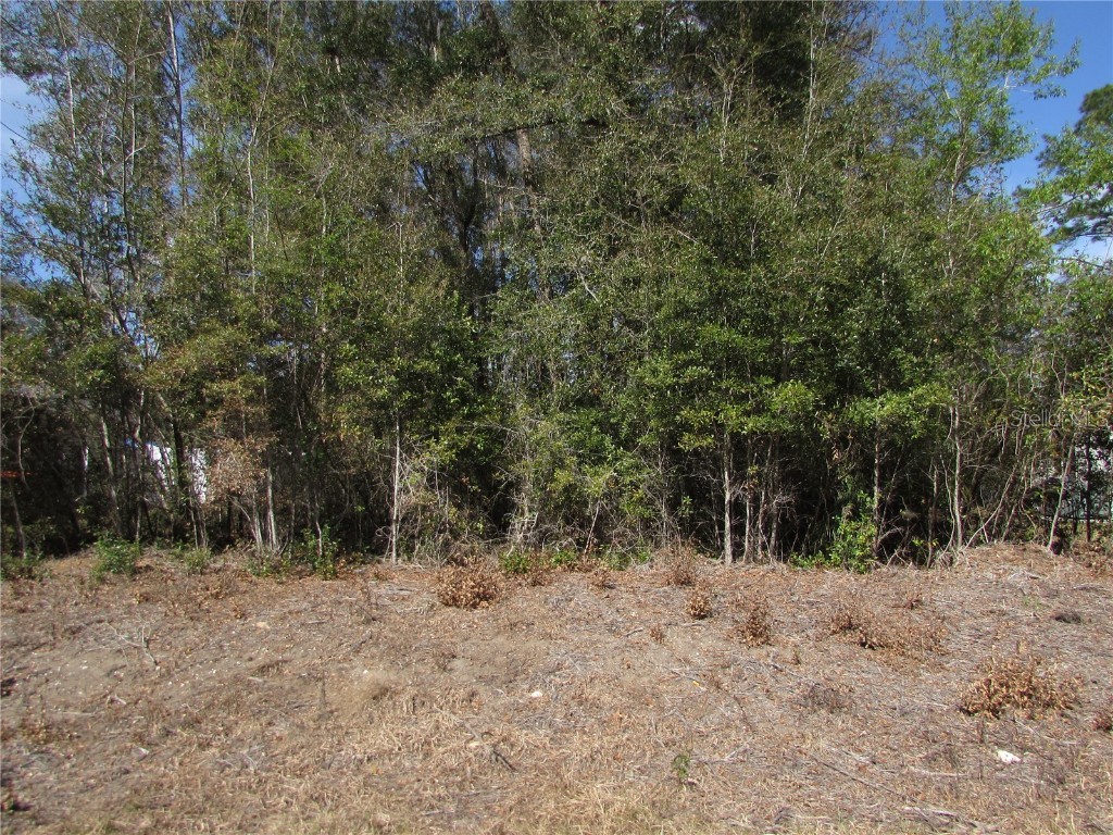 Lot 32 SW Robin Drive Dunnellon FL 34431 OM695379 image1
