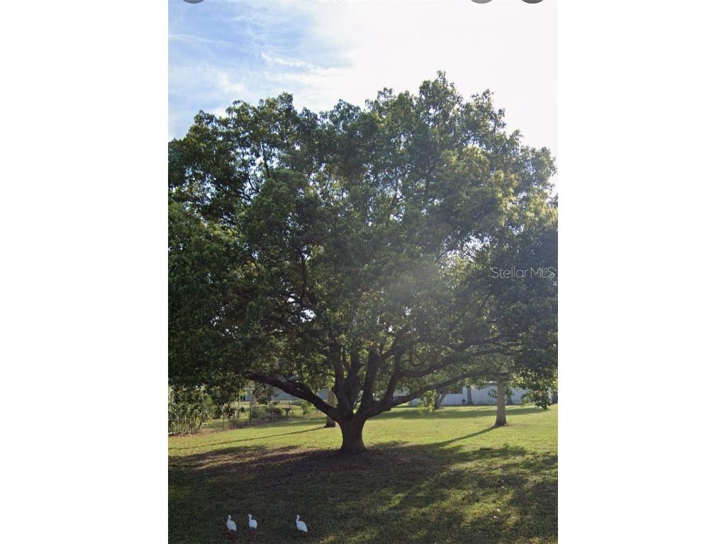 Lot 33 Riverview Avenue Sanford FL 32771 O6256727 image1