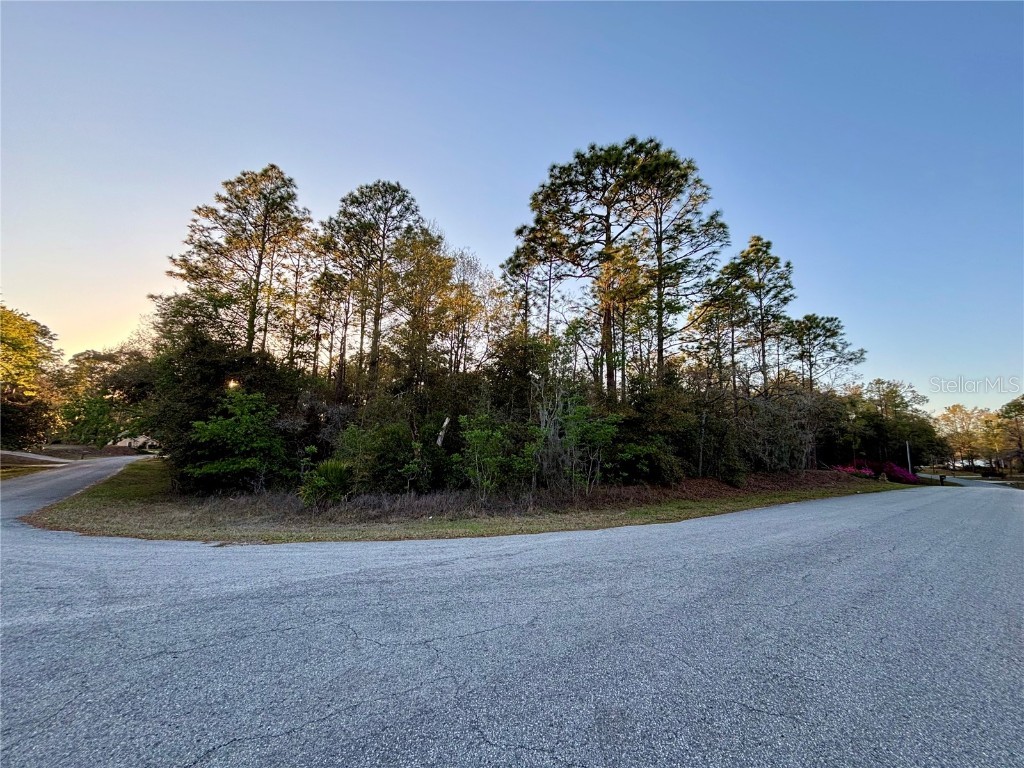 Lot 33 SW 97 Place Dunnellon FL 34431 - THE RAINBOW RIVER OM697254 image1